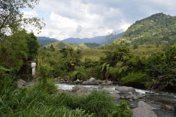 The photo shows the Cabañita El Congolo- located in the city of La Florida.