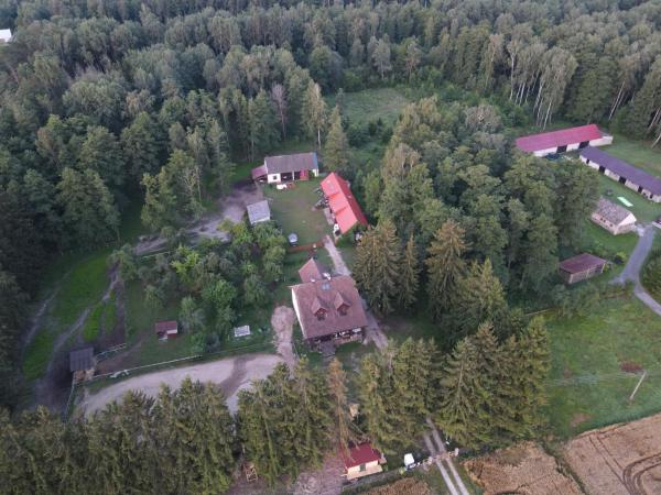 На фото показан объект Kurnik Polski agroturystyka, расположенный в городе Stare Jeżewo.