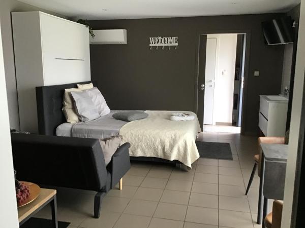 Studio Gardenroom Guesthouse De Steenberg Met Wellness & Tuinzicht - Geel