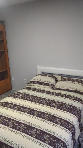Nella foto è visibile l'oggetto Apartman nidzo situato nella città di Bajina Bašta.