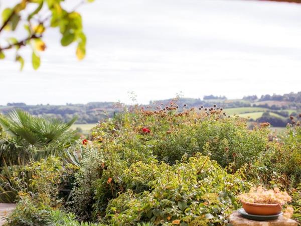 Na fotografii je vidět objekt Honeysuckle Cottage nacházející se ve městě Blockley.