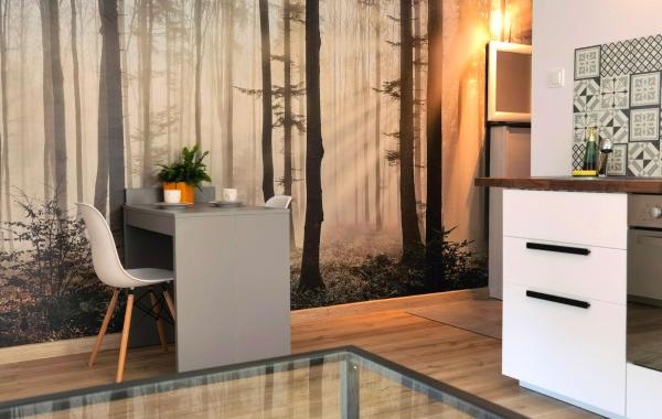 A la foto es mostra l'objecte Apartament Sosnowa situat a la ciutat de Puławy.