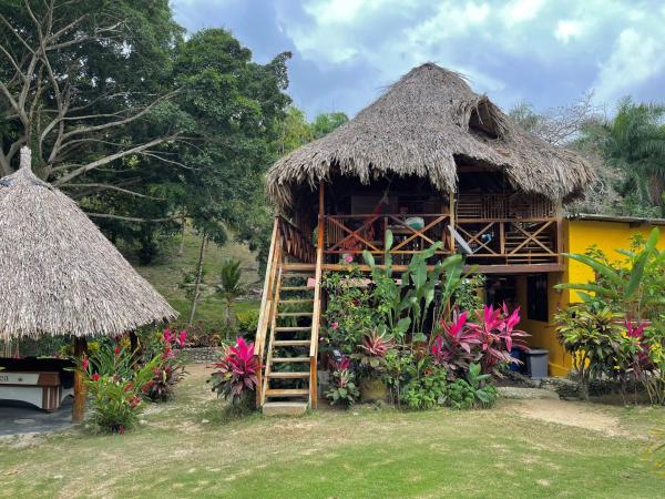 På bildet vises objektet EcoHostal Palmares Del Rio som ligger i byen Guachaca.