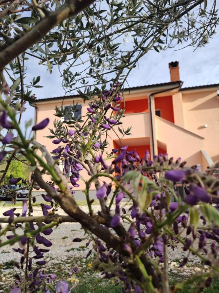 På bildet vises objektet Apartman Tramonto som ligger i byen Motovun.