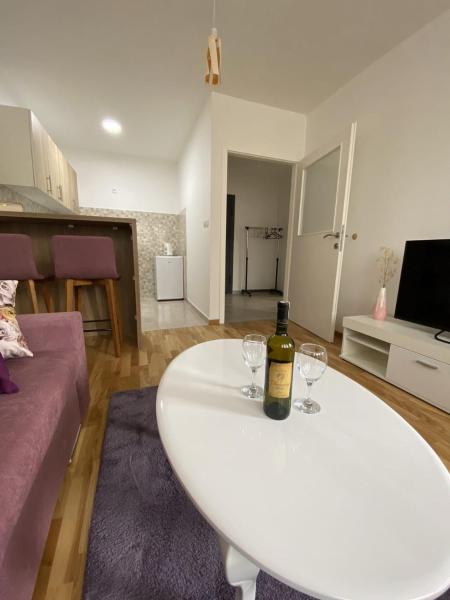 A la foto es mostra l'objecte Apartman Andrej situat a la ciutat de Vranješ.