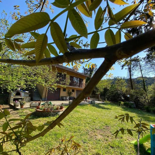 Billede 1: Agriturismo Le cicale e la formica