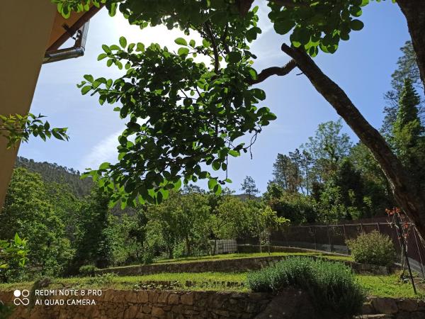 Billede 4: Agriturismo Le cicale e la formica