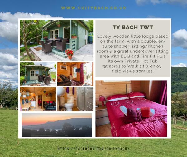 Op de foto is het object Ty Bach Twt, Coity Bach te zien, gelegen in de stad Scethrog.