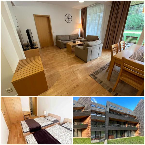 A la foto es mostra l'objecte Golden Fox Apartment Pohorje situat a la ciutat de Maribor.