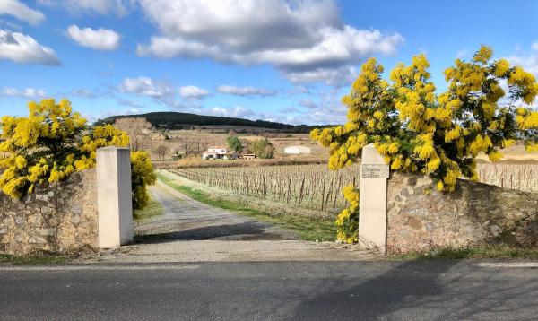 A la foto es mostra l'objecte Domaine de Peilhan situat a la ciutat de Margon.