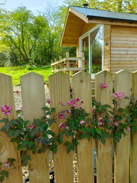 Dryw Bach Glamping Hut - Wales
