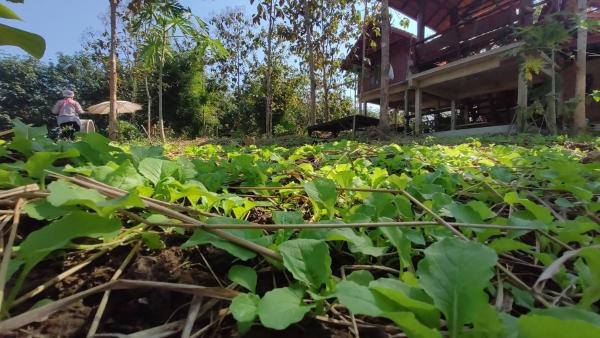 A la foto es mostra l'objecte ณ ไร่ขวัญน่าน ฟาร์มสเตย์ situat a la ciutat de Ban Hai.