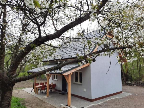 The photo shows the Noclegi Różanka located in the city of Wojcieszów.