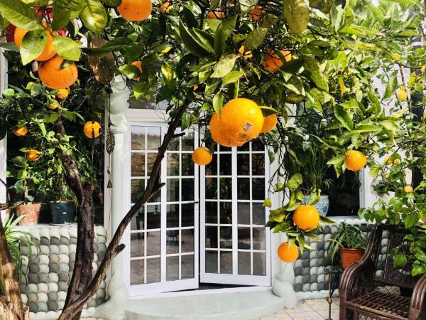 写真にはSaragoçal市にあるBeautiful small House in Algarve Portugalが写っています。