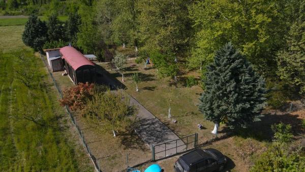 Train in the Forestの写真4