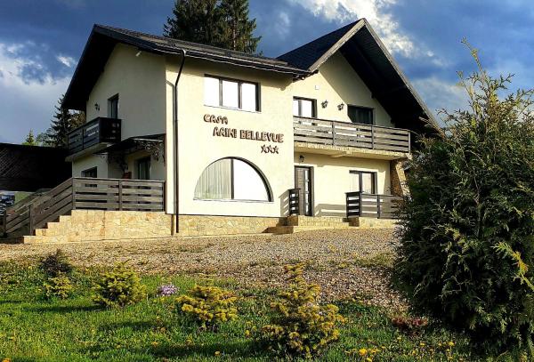 Nella foto è visibile l'oggetto Casa Arini Bellevue situato nella città di Vatra Dornei.