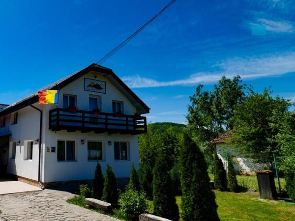 A la foto es mostra l'objecte Pensiunea Casa Ghica situat a la ciutat de Haleş.