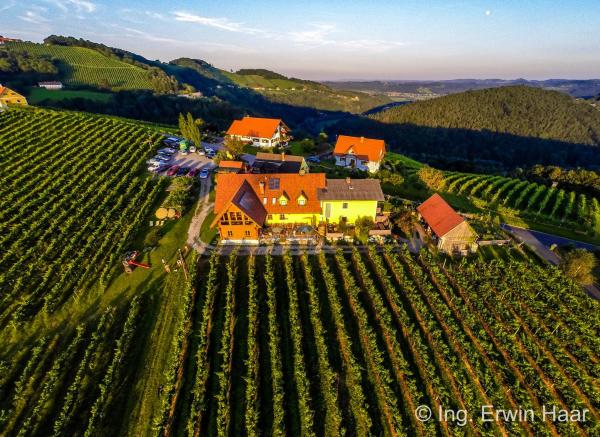 A la foto es mostra l'objecte Weingut Reiterer situat a la ciutat de Fresing.