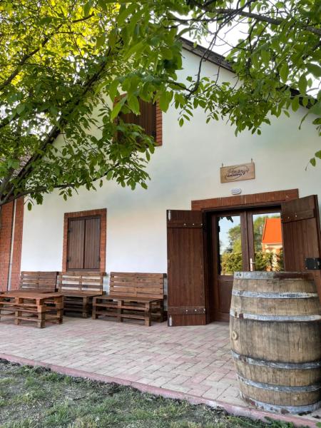 The photo shows the Perényi Pince és Vendégház Hajós located in the city of Nemesnádudvar.