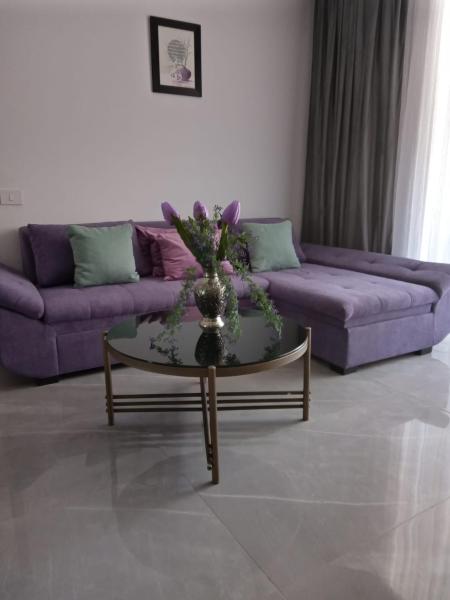 Na fotografii je vidět objekt Apartament Ella's Home nacházející se ve městě Oradea.