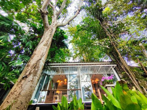 A la foto es mostra l'objecte Rain Forest Resort situat a la ciutat de Ban Bo.