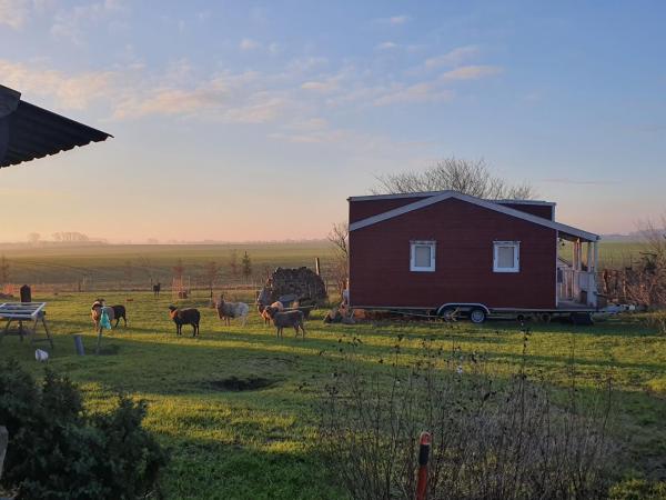 Foto 2: Tiny House