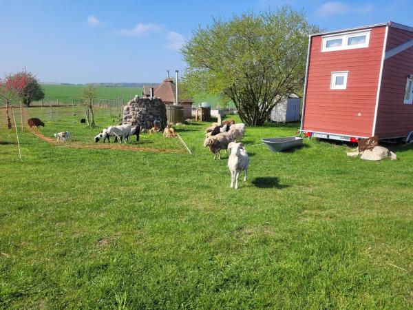 Foto 6: Tiny House