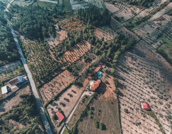 Nella foto è visibile l'oggetto Lugar dos Vales-Memorável, Encantador e Autêntico! situato nella città di Torre de Dona Chama.