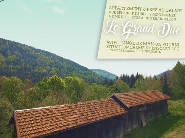 På billedet ses objektet ⁂⁂ LE GRAND DUC Appartement [CLEDICIHOME] / Magnifique vue sur les montagnes / 4 KMs DE GERARDMER ! ⁂⁂ beliggende i byen Rochesson.