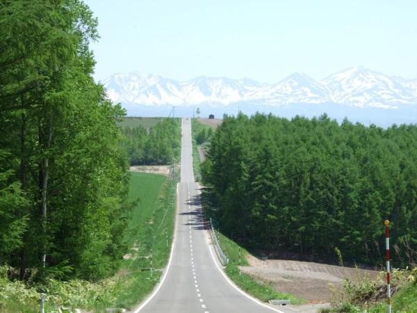 Zdjęcie 6: 旭川貸切一軒家プラスティ