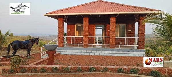 The photo shows the MARS Jungle Adventure Stud Farm with Private Jacuzzi located in the city of Narsinge.