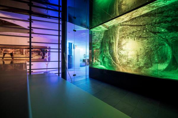 Photo 9 : SPA & Relax Hotel Erika
