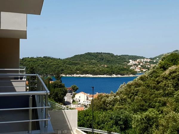 Nella foto è visibile l'oggetto Orchid SeaView Apartment With Garage Parking situato nella città di Zaton.