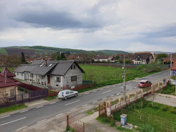 Zdjęcie 7: Max Studio