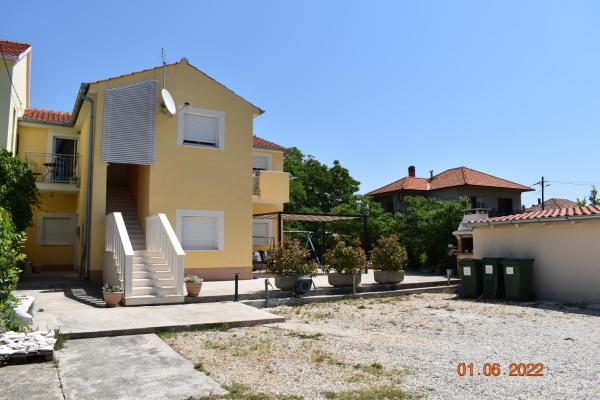 Sea Horse, Zadar