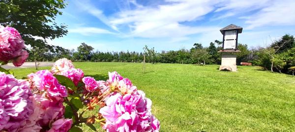 På billedet ses objektet Apartamento Rural Playa Foz - VISTAS AL MAR beliggende i byen Foz.