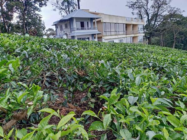 Nella foto è visibile l'oggetto The Nirvana Resort Munnar situato nella città di Munnar.