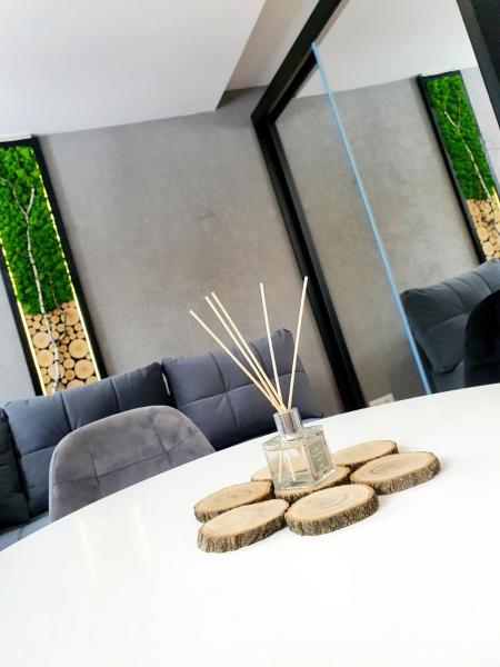 A la foto es mostra l'objecte SzafranSKI Saneczkowa Apartment situat a la ciutat de Karpacz.
