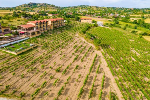 På billedet ses objektet Dessera Vineyards Hotel beliggende i byen Ahmetçe.