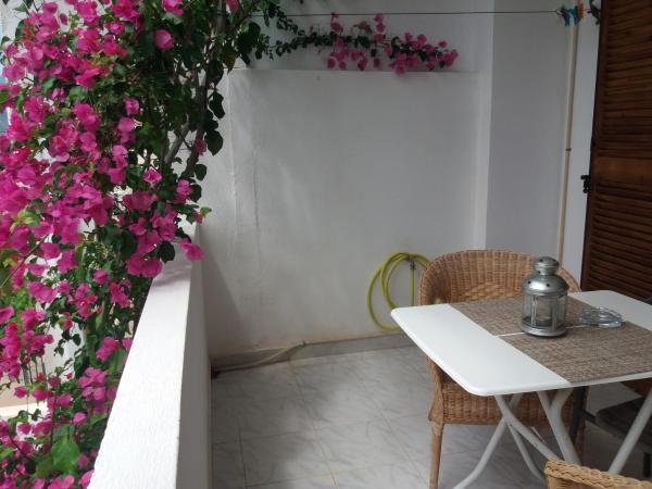 Photo 7 : Studio in Poros