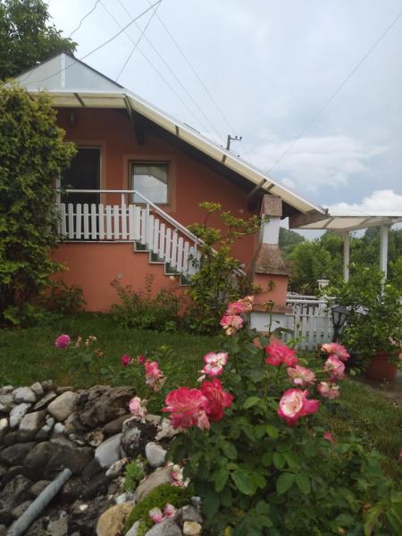 Apartman-Jovic