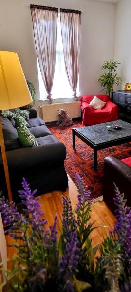 A la foto es mostra l'objecte Bright studio close to Zaventem airport situat a la ciutat de Brussel·les.