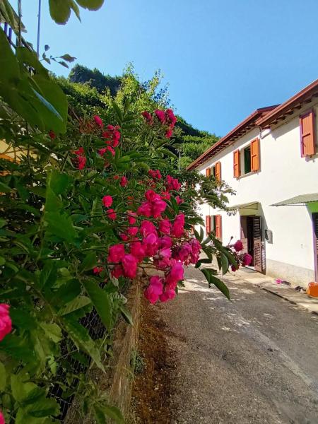 Auf dem Foto ist das Objekt CASOLARE TROMBACCO in der Stadt Vergemoli zu sehen.