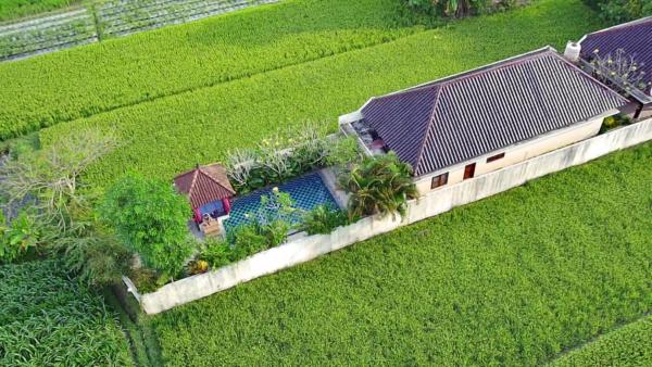 Na foto é possível ver o objeto Private pool Villa Sawah Sewon localizado na cidade de Sewon.