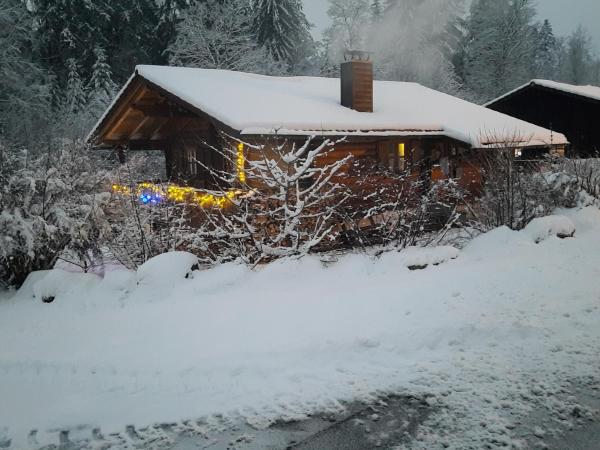 A la foto es mostra l'objecte Hüttenzauber Ferienwohnung mitten im Nationalpark situat a la ciutat de Regenhütte.