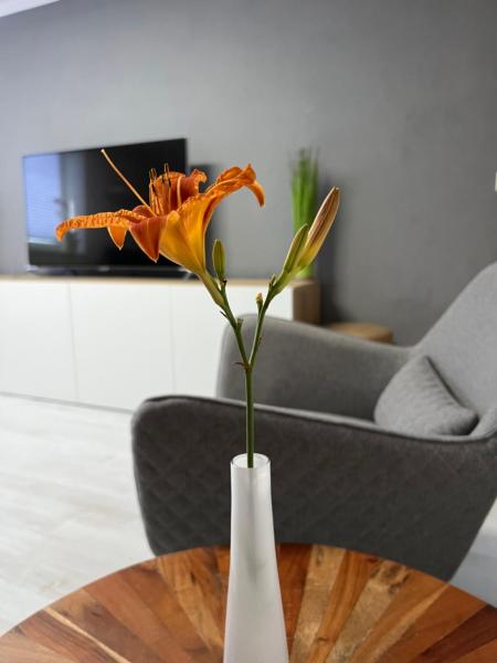 A la foto es mostra l'objecte stay!apart Gieckau situat a la ciutat de Osterfeld.