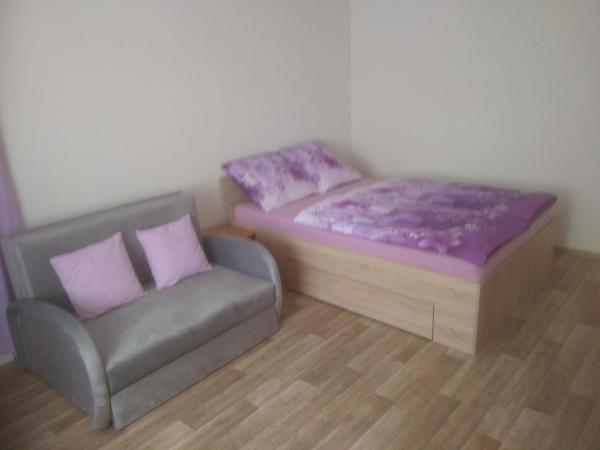 写真にはVanov市にあるApartmány Toufarが写っています。