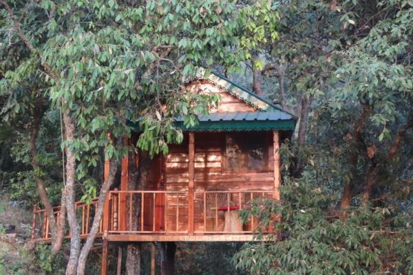Odyssey Stays Mukteshwar - 300 Metres Trek - Mukteshwar