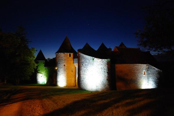 A la foto es mostra l'objecte Chateau de Forges situat a la ciutat de Ingrandes.