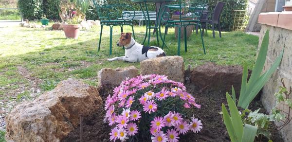 La Cascina Della Grotta Di Tufo - Provincia de Grosseto